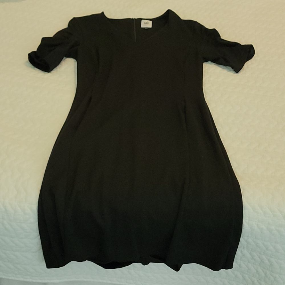 Cabi minimalist dress